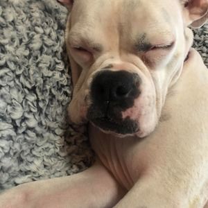 Meet your Posher, Timothy